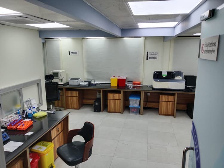 UK Embassy Visa Applicant detail